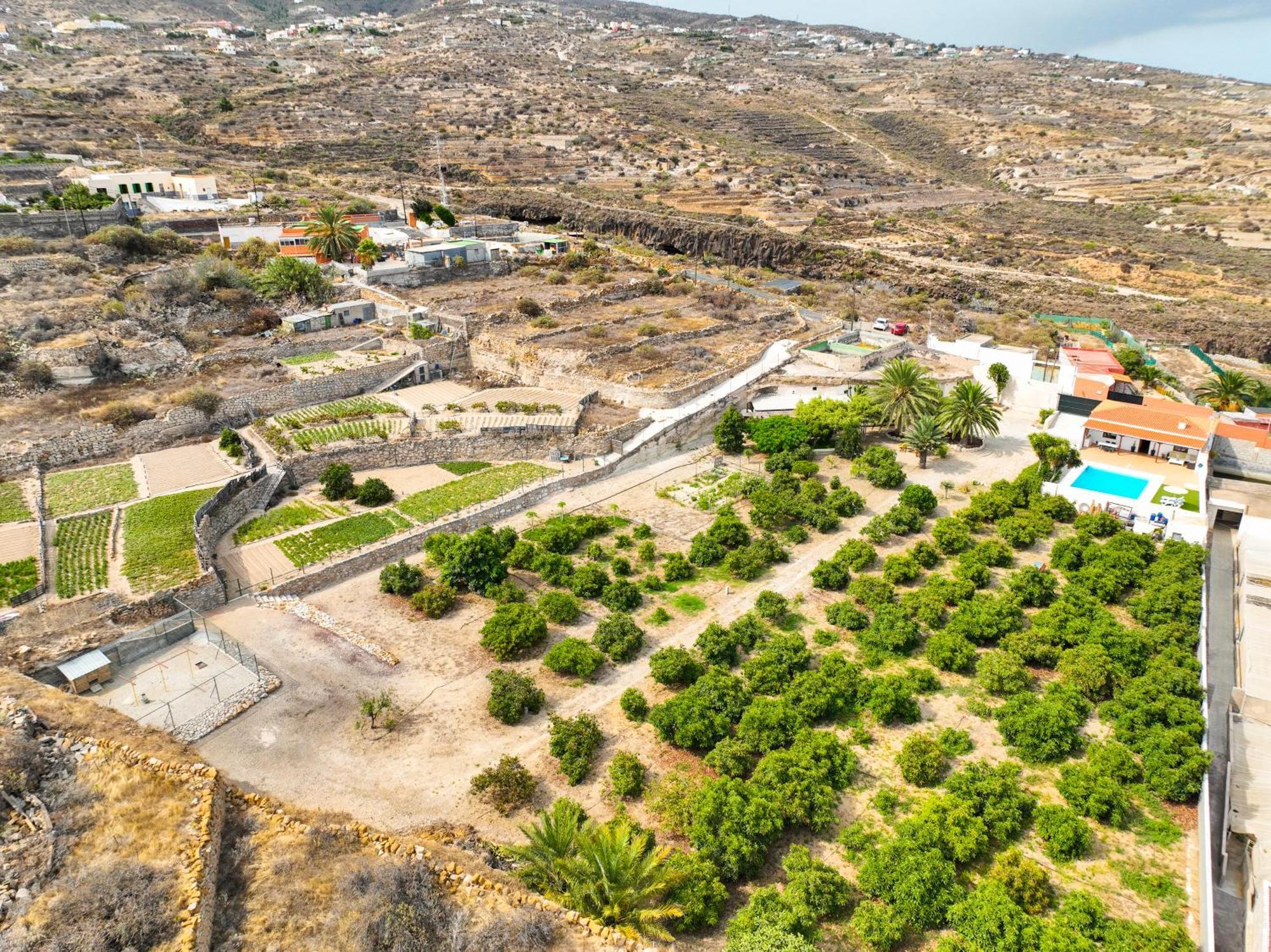 Private House With Pool & Garden Villa Guimar Exterior photo